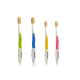 Dr. Plotka's Mouthwatchers 2 Adult + 2 Youth Soft Toothbrush Pack Of 4 (Blue,Green, Yellow & Pink)